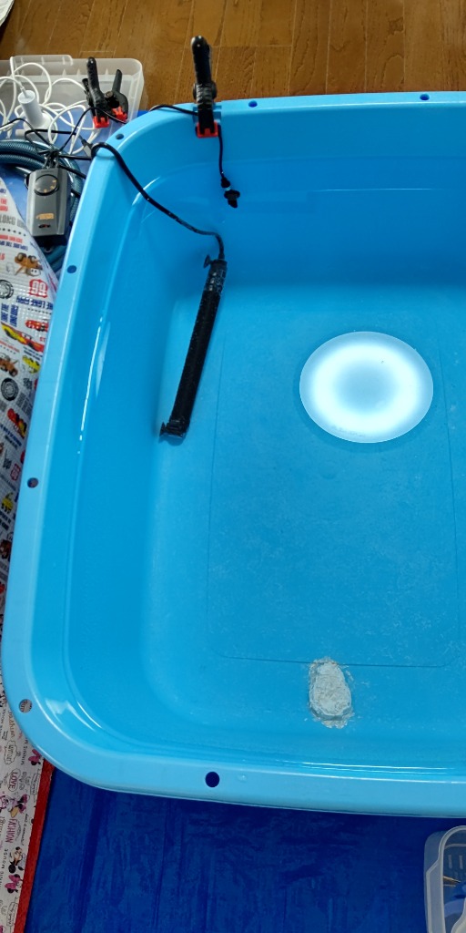 全体のレビュー画像 | 0-0