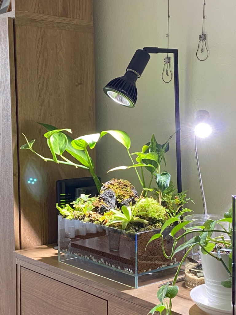 全国送料無料】 BARRELバレル AMATERAS LED 10W アマテラス 10W 植物 