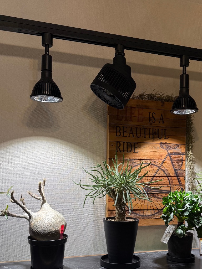 全国送料無料】 BARRELバレル 月読命 ツクヨミ ブラックエディション