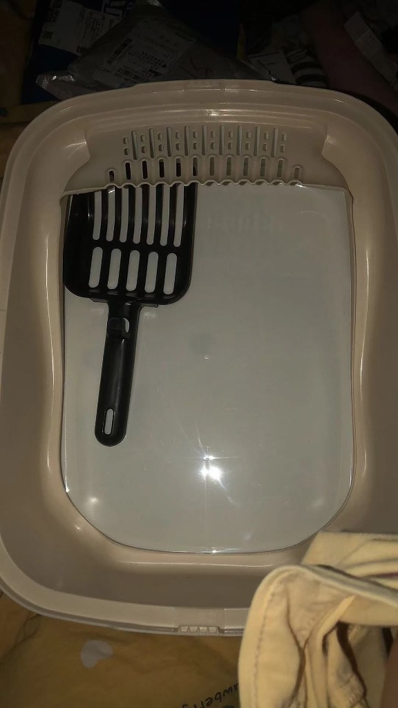 レビュー画像