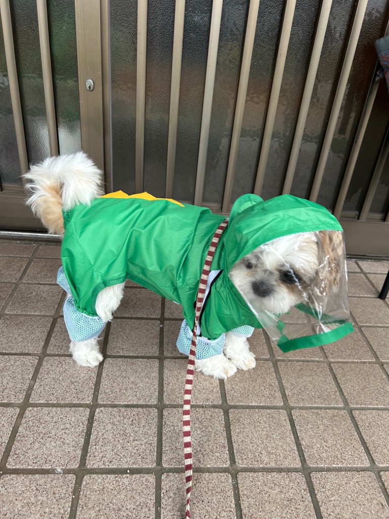 全体のレビュー画像 | 1-0