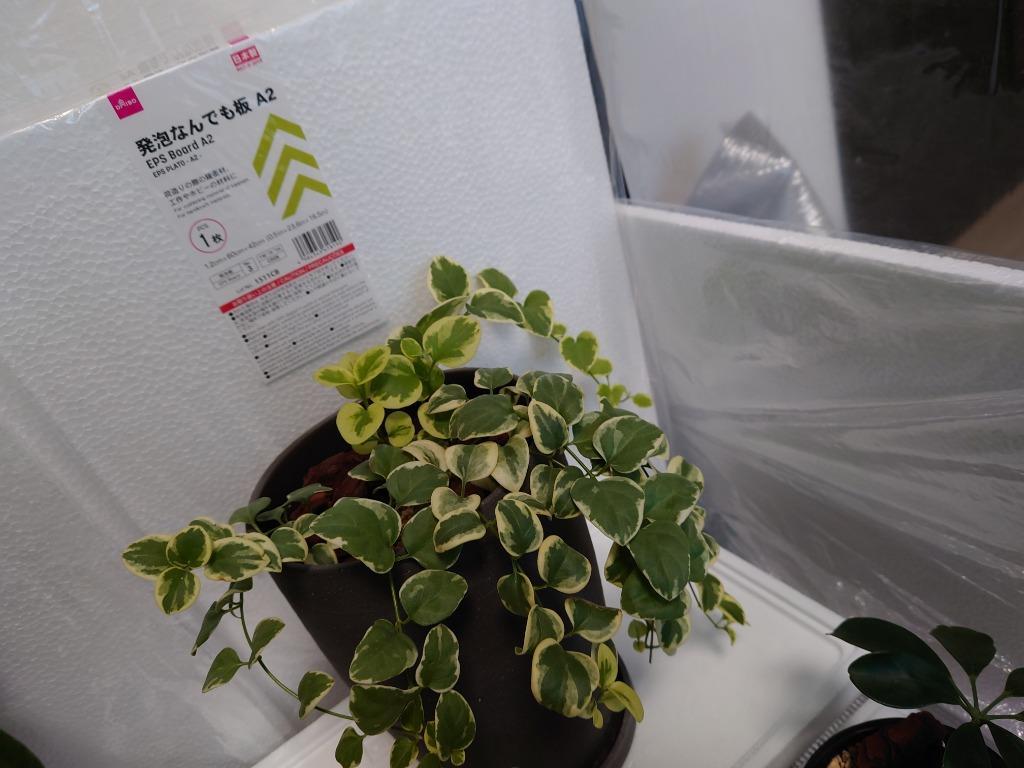 ビニール温室棚 フラワースタンド用温室 植物を守る 組み立て簡単 工具不要 ビニールハウス フラワーラック FOST-90BK :9t-fost- 90bk:リコメン堂 - 通販 - Yahoo!ショッピング