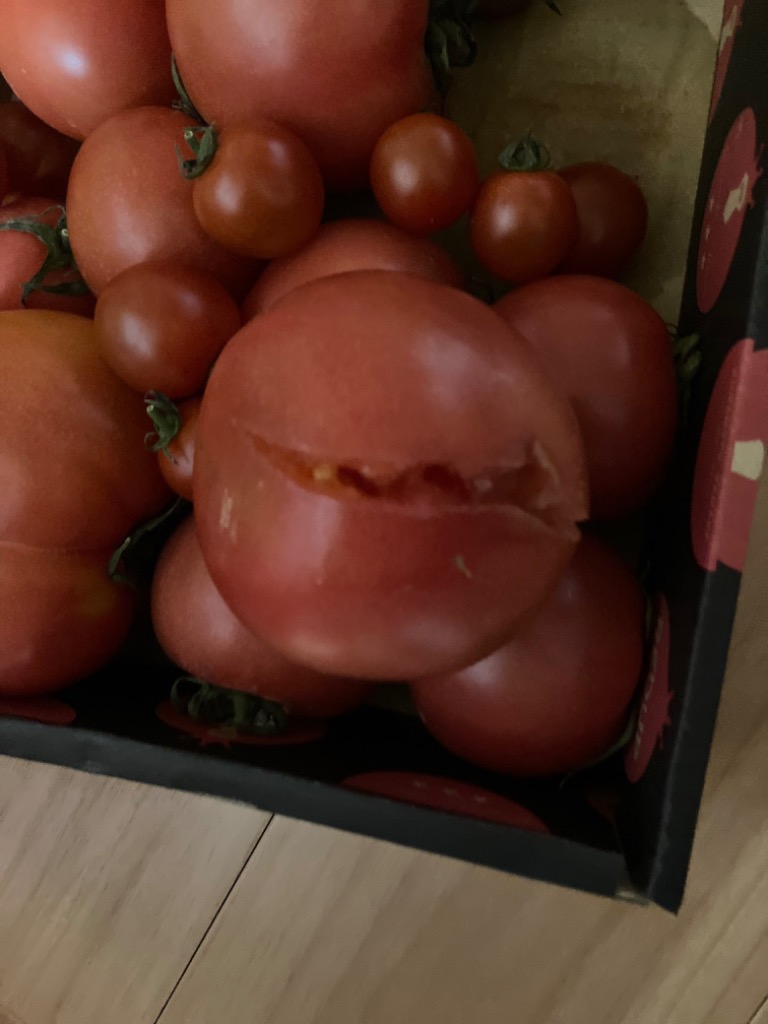 レビュー画像