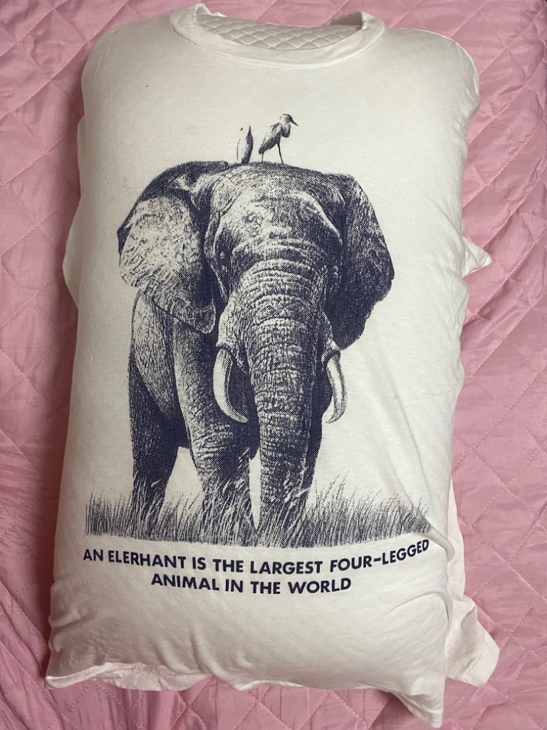 1件目のレビュー画像 | 0