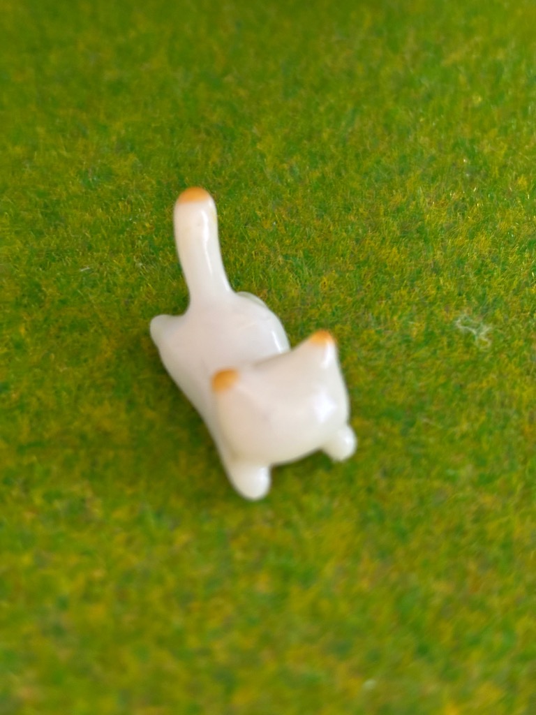 全体のレビュー画像 | 0-0