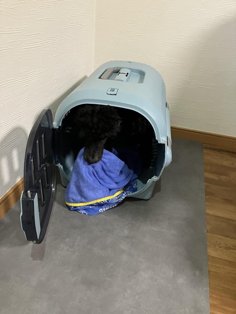 1件目のレビュー画像 | 0