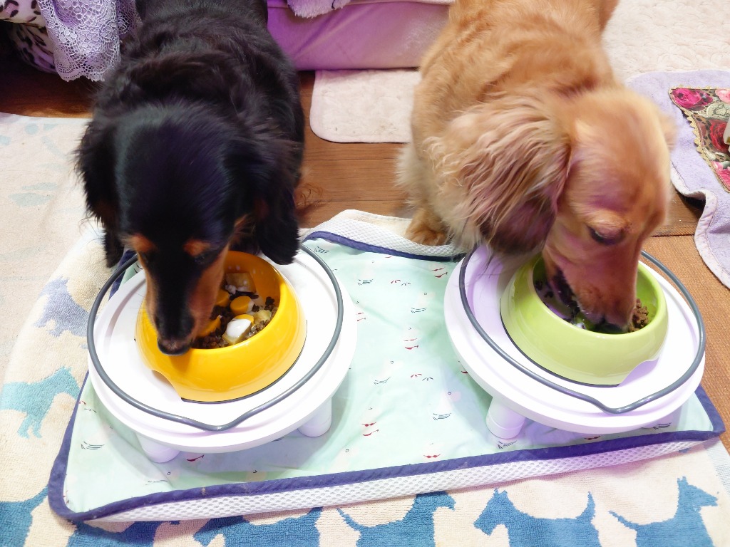 1件目のレビュー画像 | 1