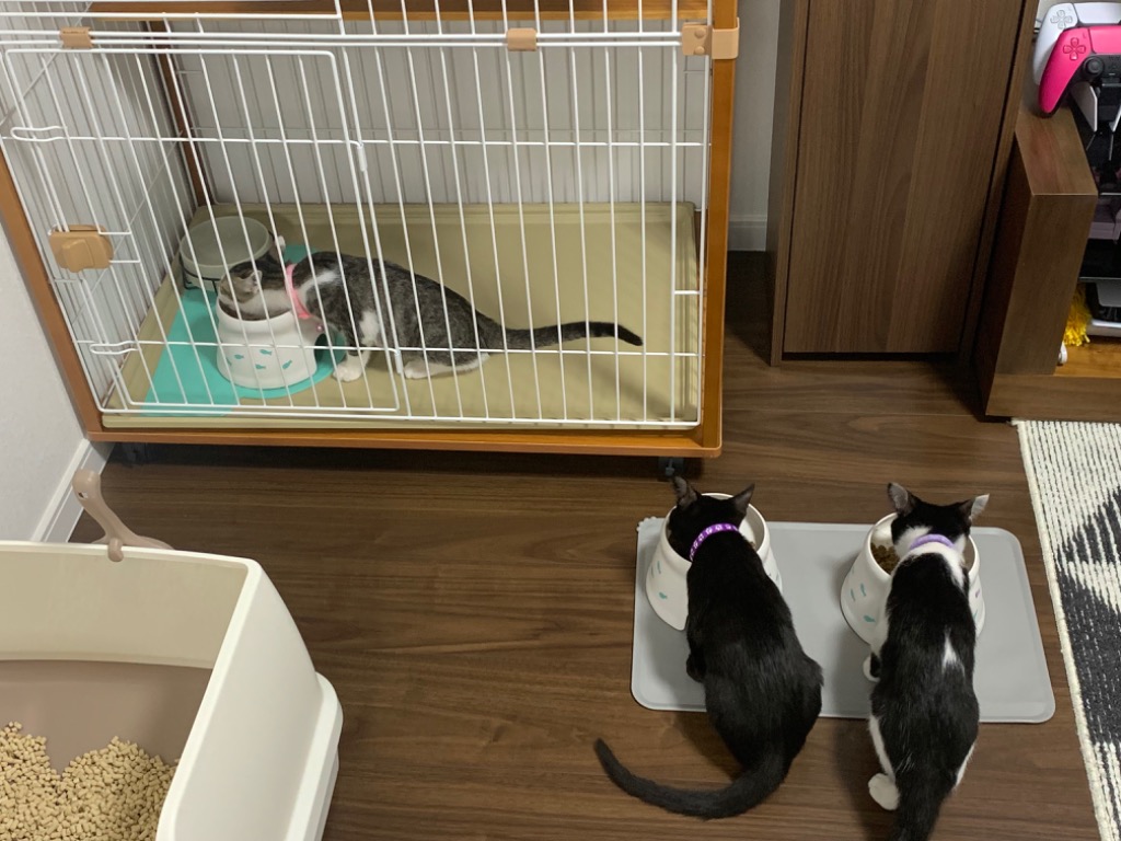 1件目のレビュー画像 | 0