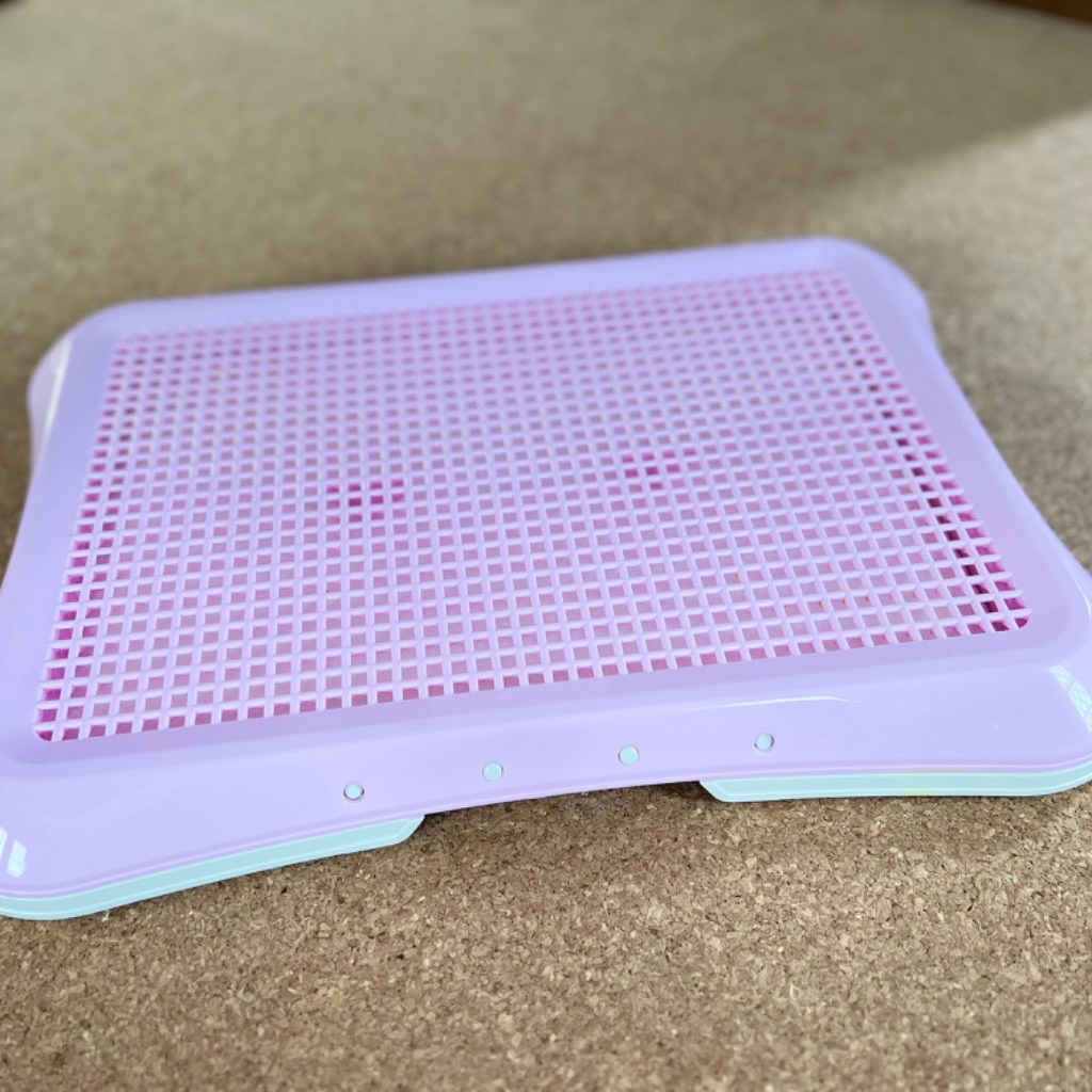 1件目のレビュー画像 | 0