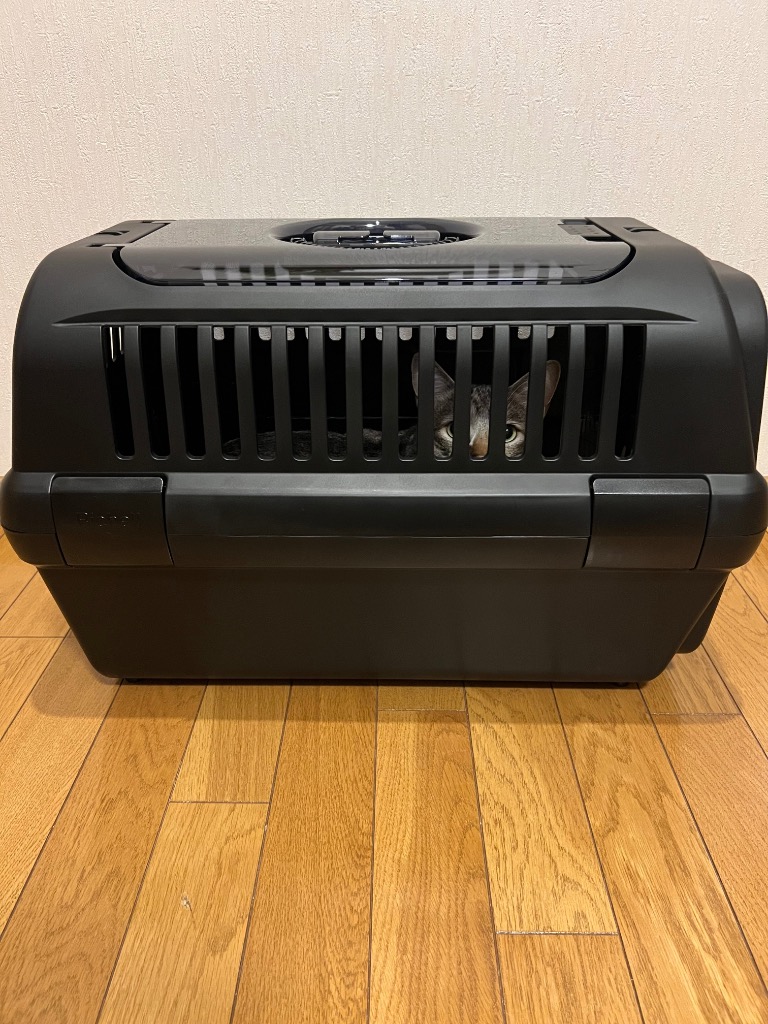 1件目のレビュー画像 | 2