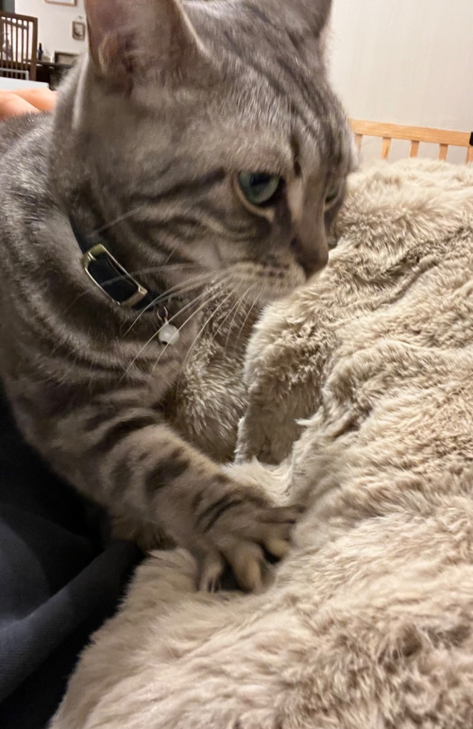 1件目のレビュー画像 | 0