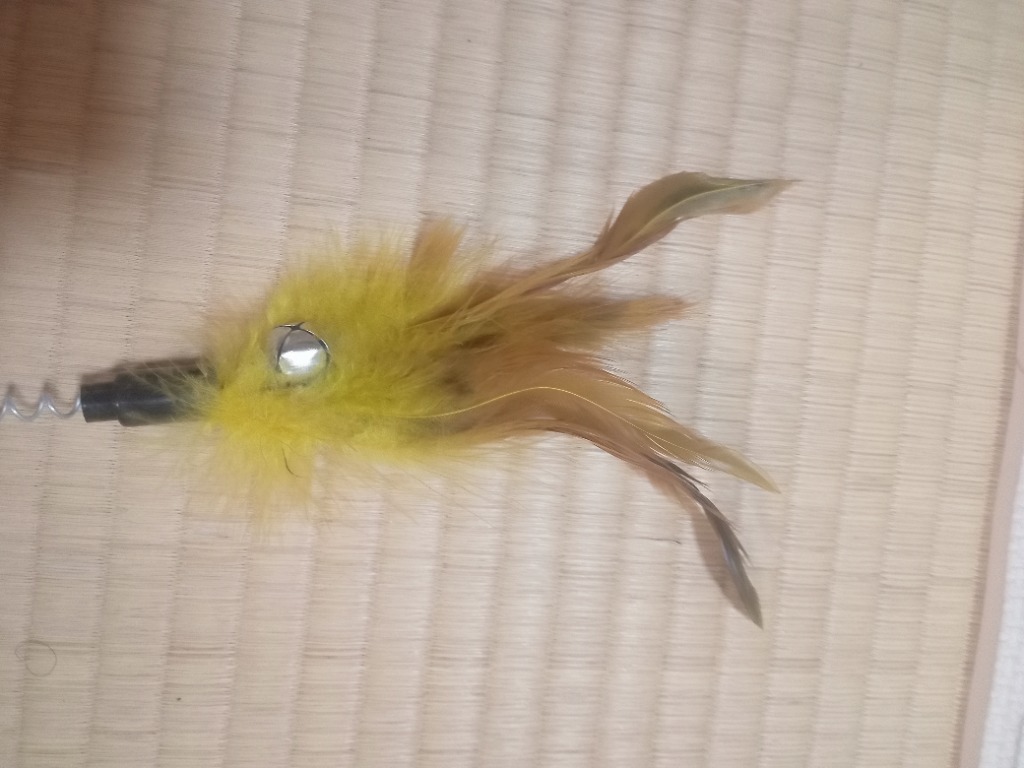レビュー画像