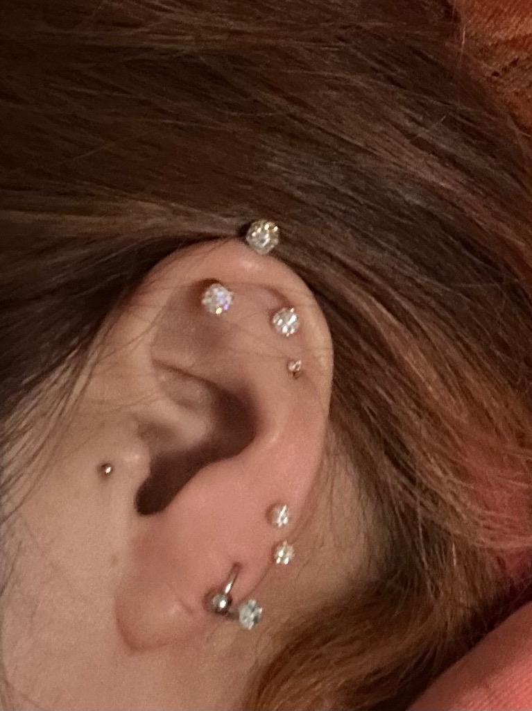 全体のレビュー画像 | 7-0