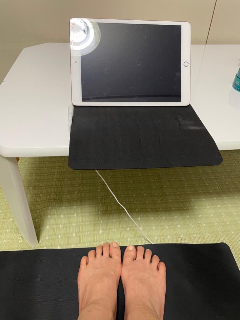 GEMMA】アーシングマット・ダブルサイズ 健康器具／電磁波対策