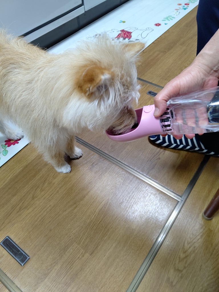 1件目のレビュー画像 | 0