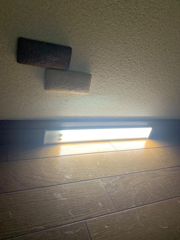 サン フリー埼玉Lifeholder LEDライト 電池式 木目調 ナイトライト 室内照明 廊下 明暗センサーライト 階段 玄関 間接照明 人感  足元ライト