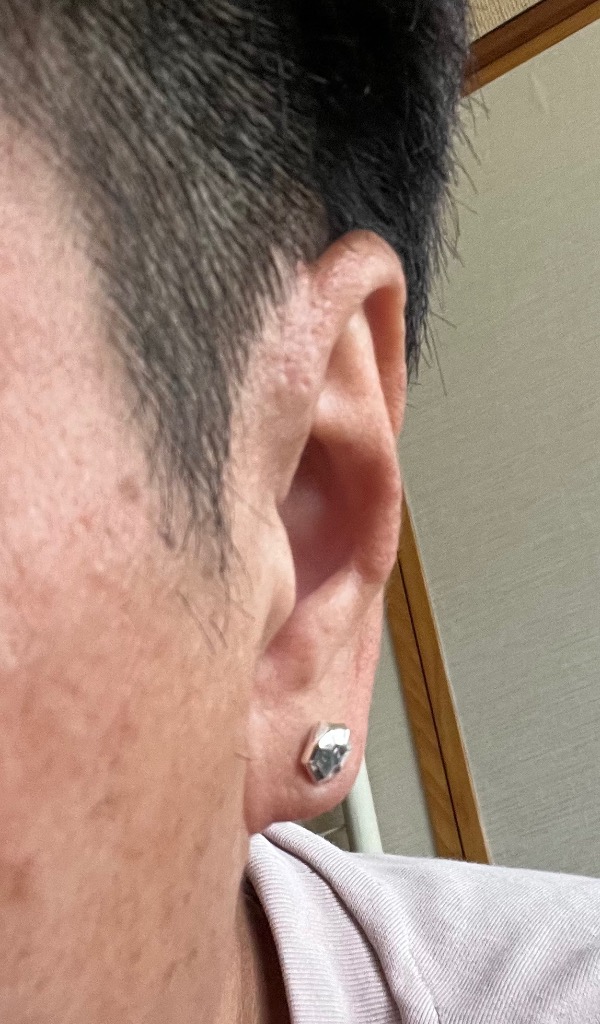 LION HEART ライオンハート CITYPOP スタッズピアス TYPE“B