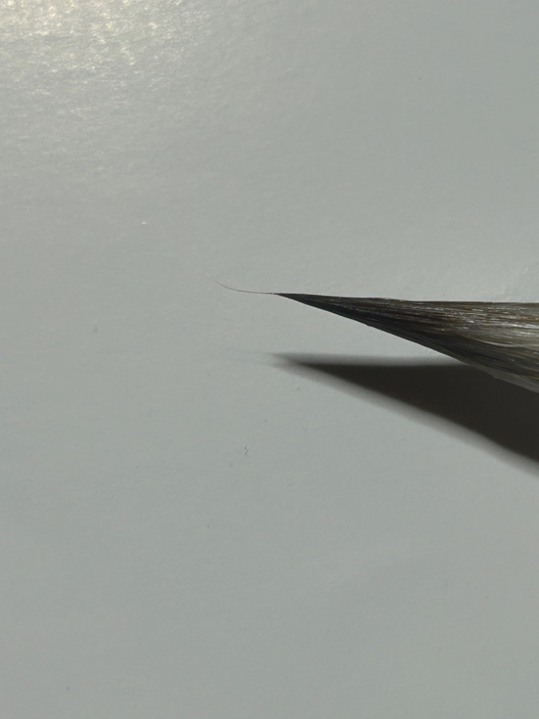 1件目のレビュー画像 | 0