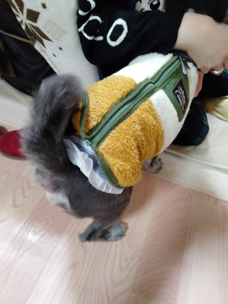 レビュー画像