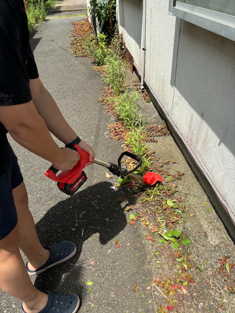 レビュー画像