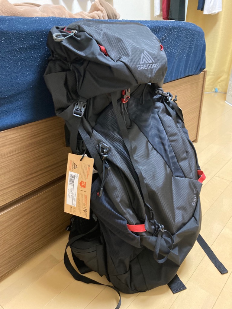 GREGORY 『並行輸入品』GREGORY グレゴリー バックパック ZULU