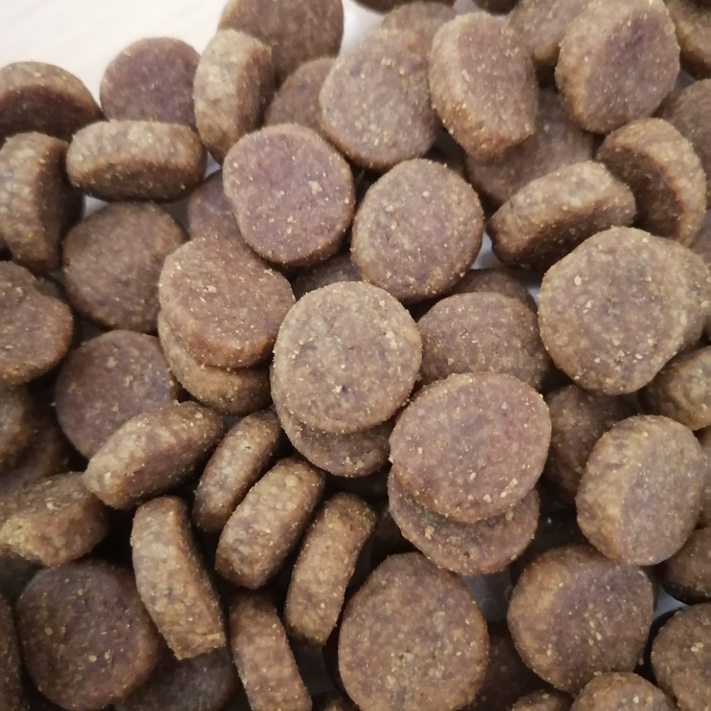 アカナ シニア レシピ 老犬用 11.4kg 並行輸入品
