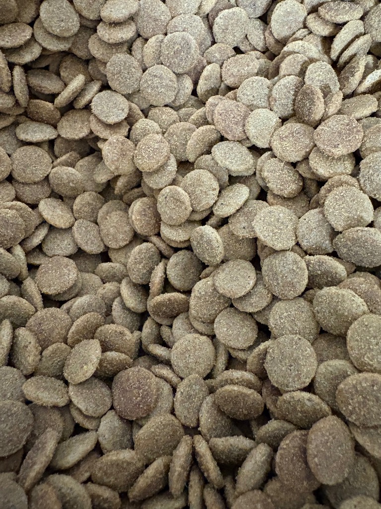 ファーストチョイス ChoiceS 成犬 1歳以上に チキン 成犬用