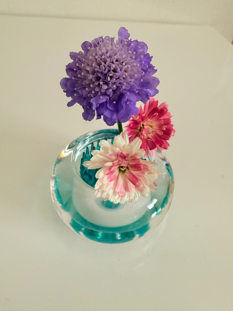 アッシュコンセプト +d ミチクサ ］一輪挿し ガラス 花瓶 MICHI