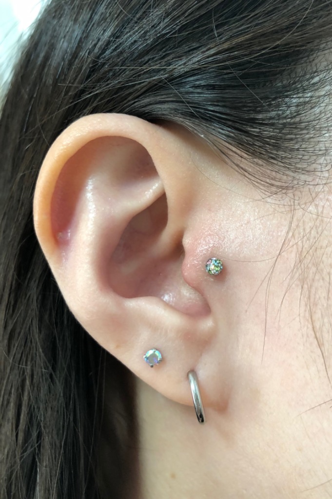 全体のレビュー画像 | 5-0