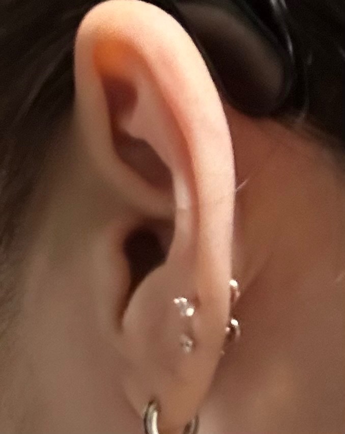 全体のレビュー画像 | 0-1