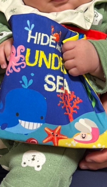 全体のレビュー画像 | 1-0