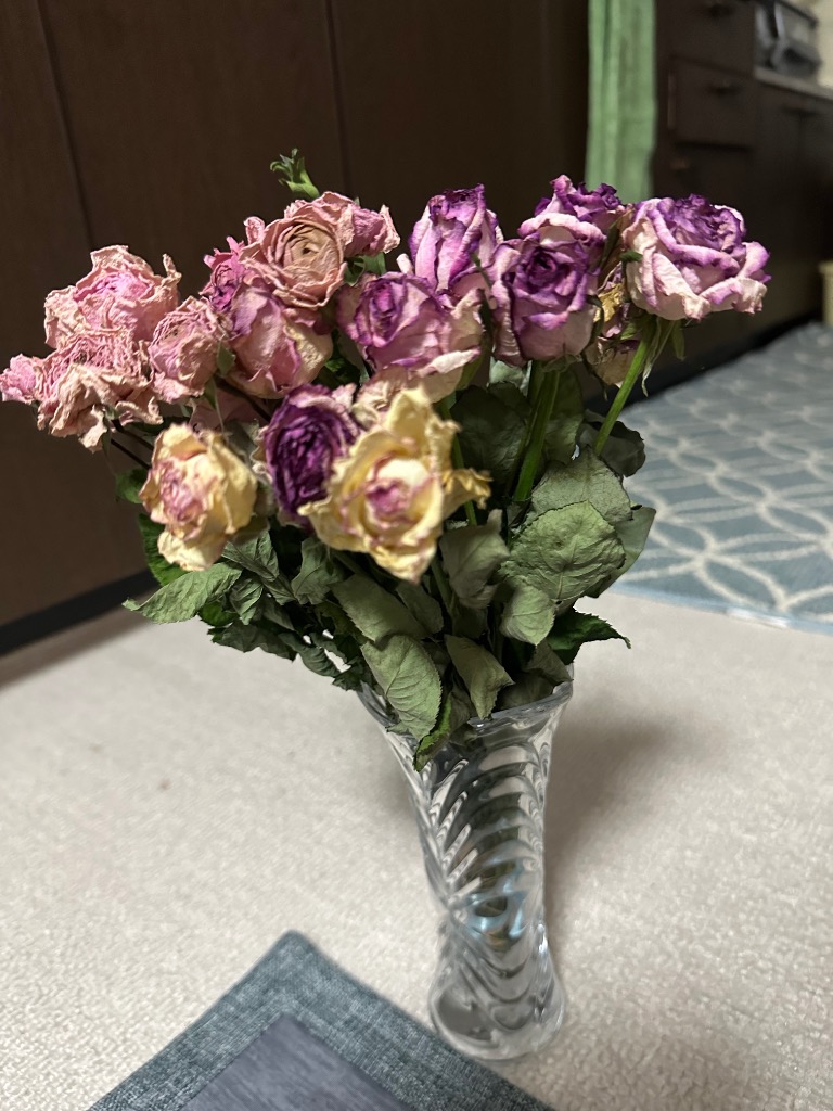 数量限定！！バラ・B品 （切り花・生花）30cm100本 規格外品・お得品