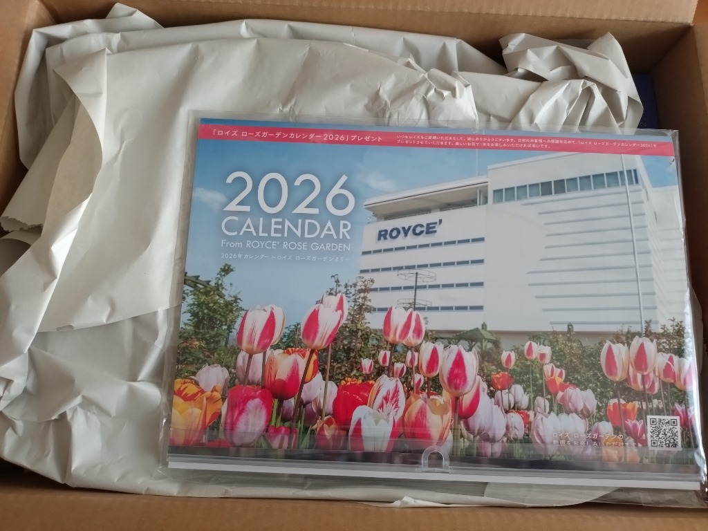 全体のレビュー画像 | 1-0