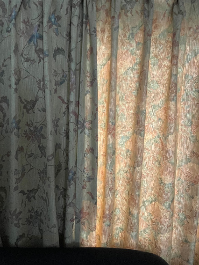 全体のレビュー画像 | 0-0