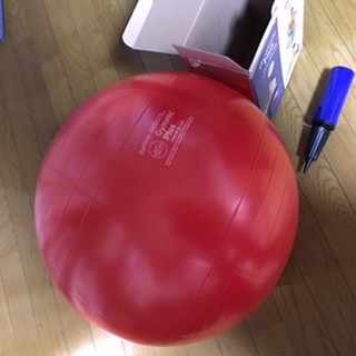 ポンプ付) ギムニク (GYMNIC) PLUS (プラス) 55 赤 レッド LP9528