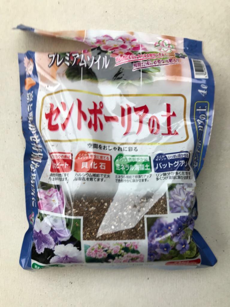 ⭐︎専用⭐︎オリジナルセントポーリア用土 セントポーリア 専用培養土 1リットル : フラワーショップ