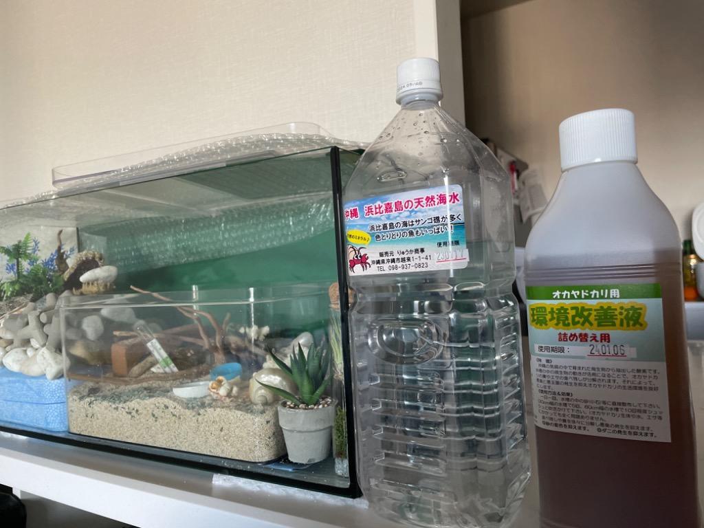 豊富なギフト オカヤドカリ用環境改善液330cc 沖縄浜比嘉島の天然海水500ml