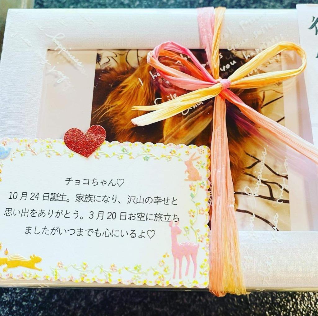 1件目のレビュー画像 | 0
