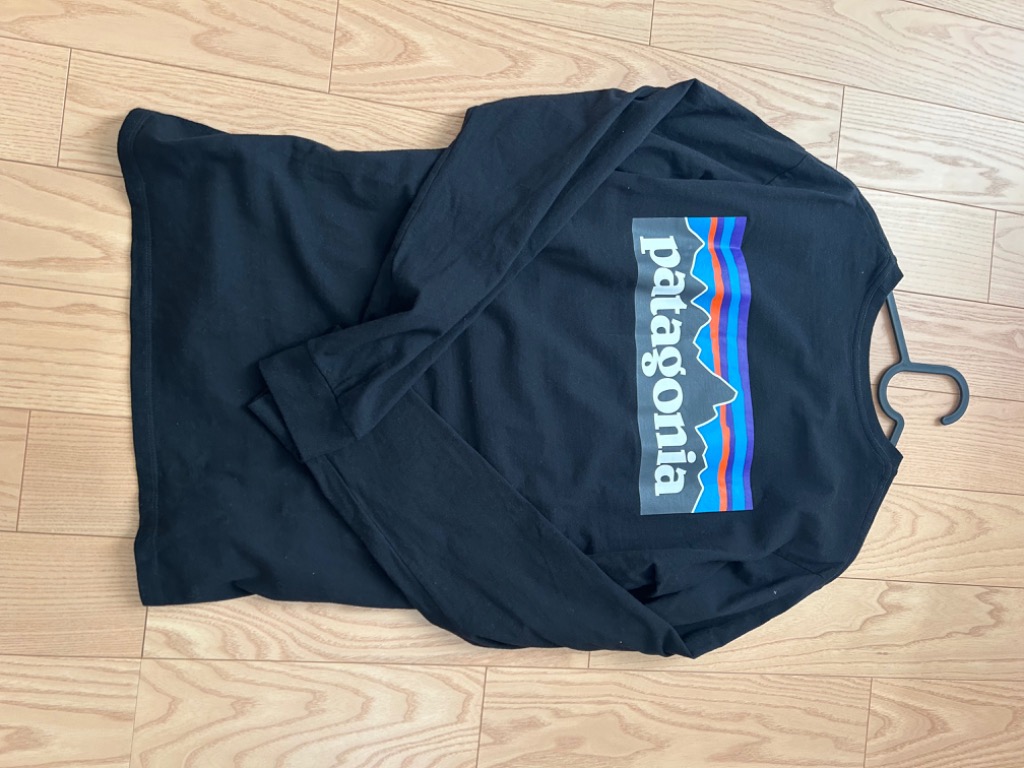 Patagonia パタゴニア ロンT メンズ ブラック 38518 BLK 楽天市場】パタゴニア ロンT 長袖 Tシャツ メンズ 38518 クルー