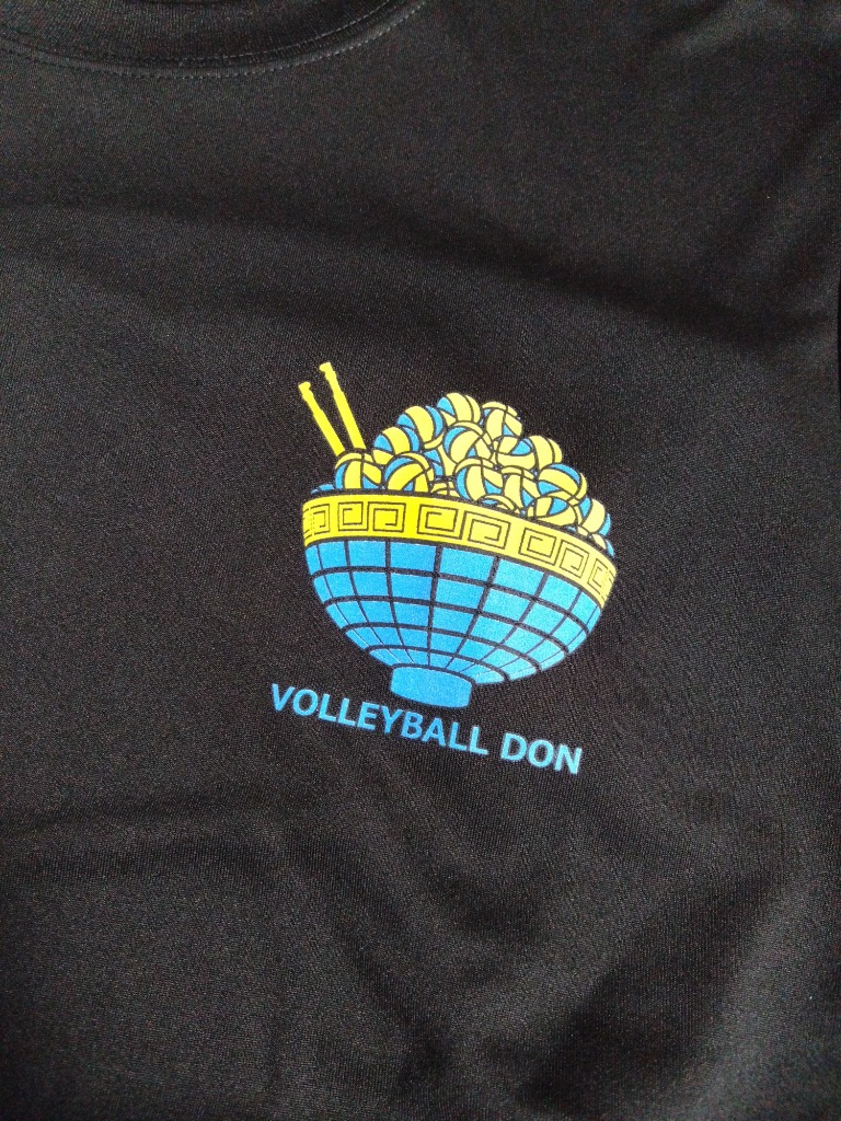 バレーボール ウェア 半袖 メンズ Tシャツ 「バレーボール丼