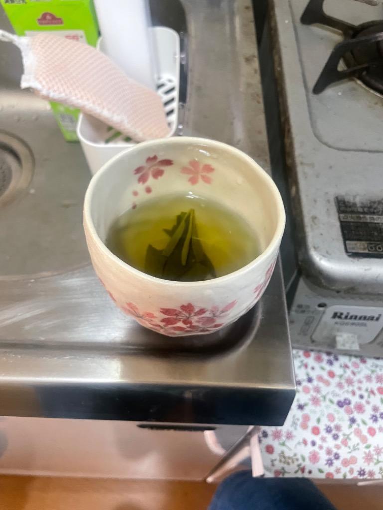 苦丁茶 一葉茶 50g 中国茶 ノンカフェイン くていちゃ くちょうちゃ ぐーでぃんちゃ :1121005001:彩香 - 通販 -  Yahoo!ショッピング