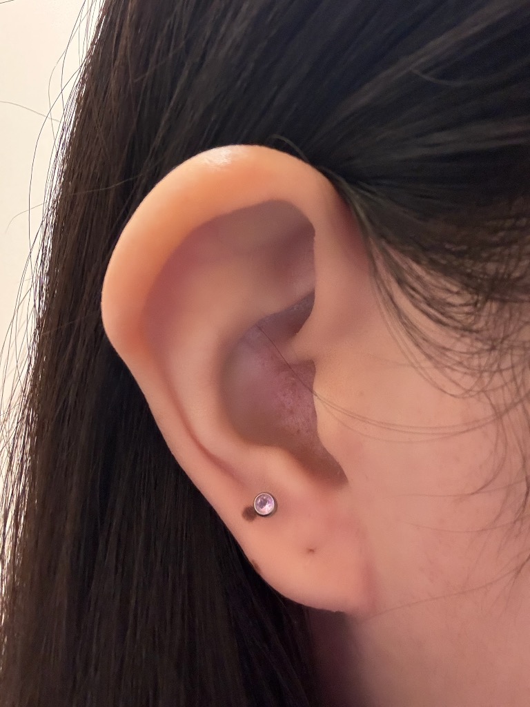 全体のレビュー画像 | 0-0