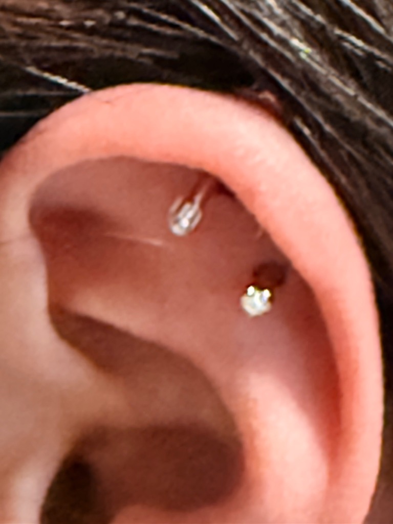 全体のレビュー画像 | 0-0