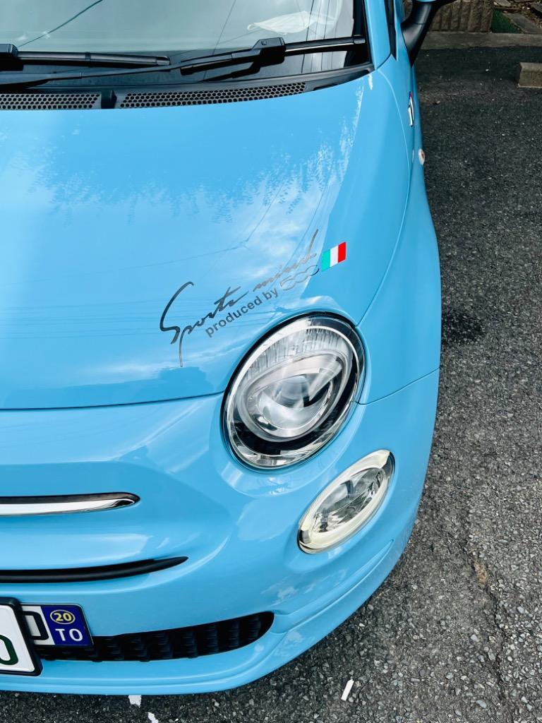 ステッカー 車 ヘッドステッカー フィアット FIAT 500 ドレスアップ :s-s-ts-566:サカストア - 通販 - Yahoo!ショッピング