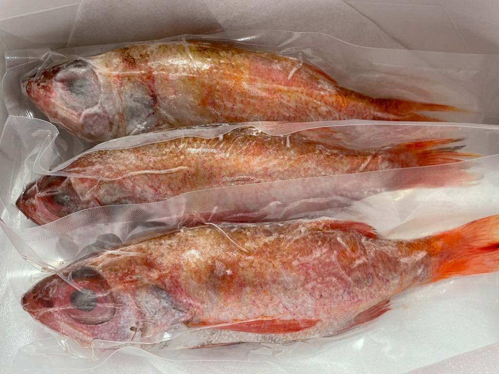 1560円 超格安一点 海鮮 ギフト 惣菜 のどぐろ 話題 高級魚 1尾200-250g