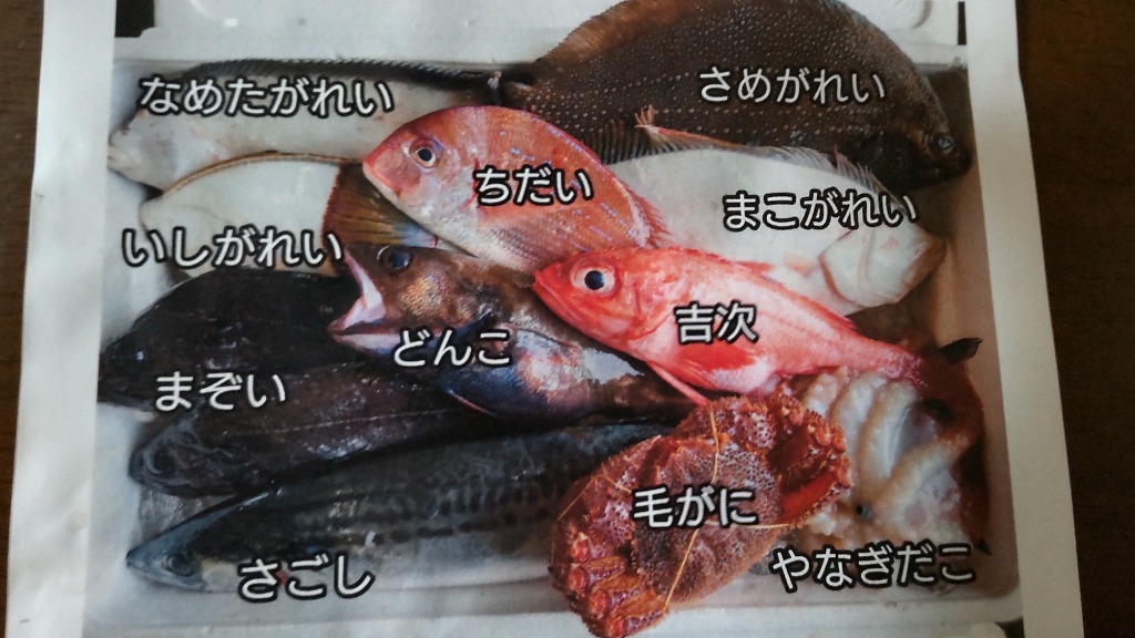 三陸 岩手 宮古 活き活き鮮魚詰合せ (1)満腹セット : sg1 : 魚屋さんGOKKOヤフーショップ - 通販 - Yahoo!ショッピング