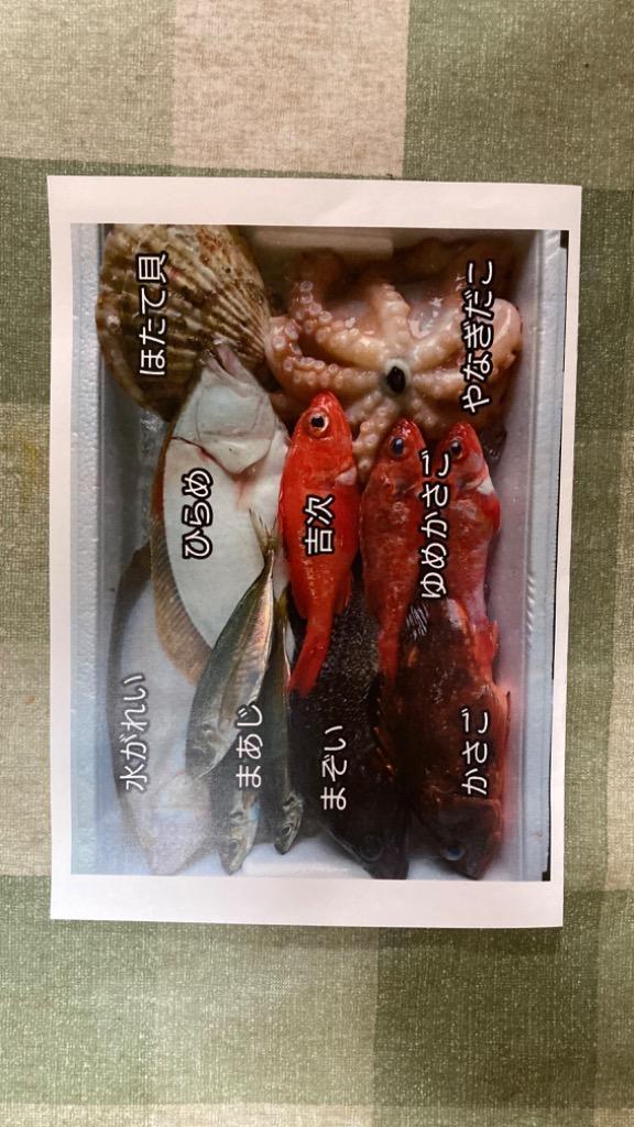 三陸 岩手 宮古 活き活き鮮魚詰合せ (2)満足セット