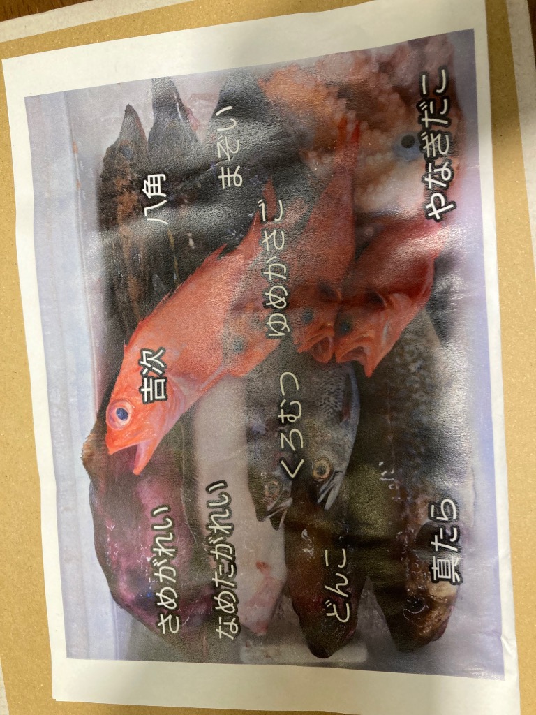 レビュー画像