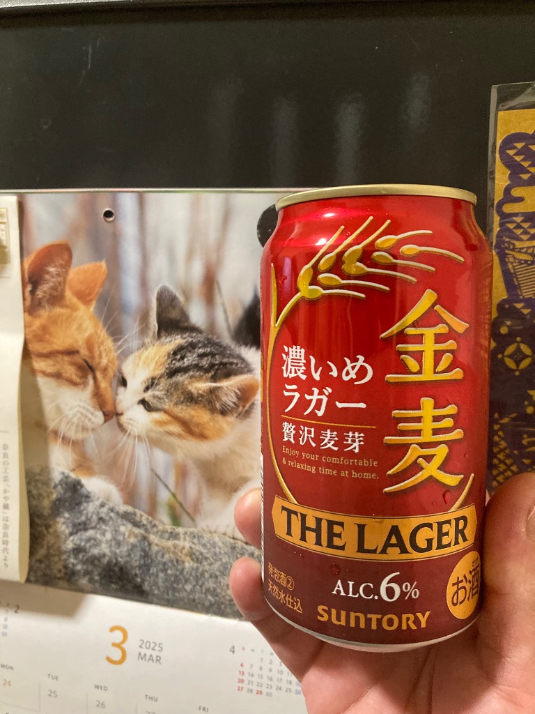 金麦 新ジャンル サントリー ザ・ラガー 350ml×48本(2ケース