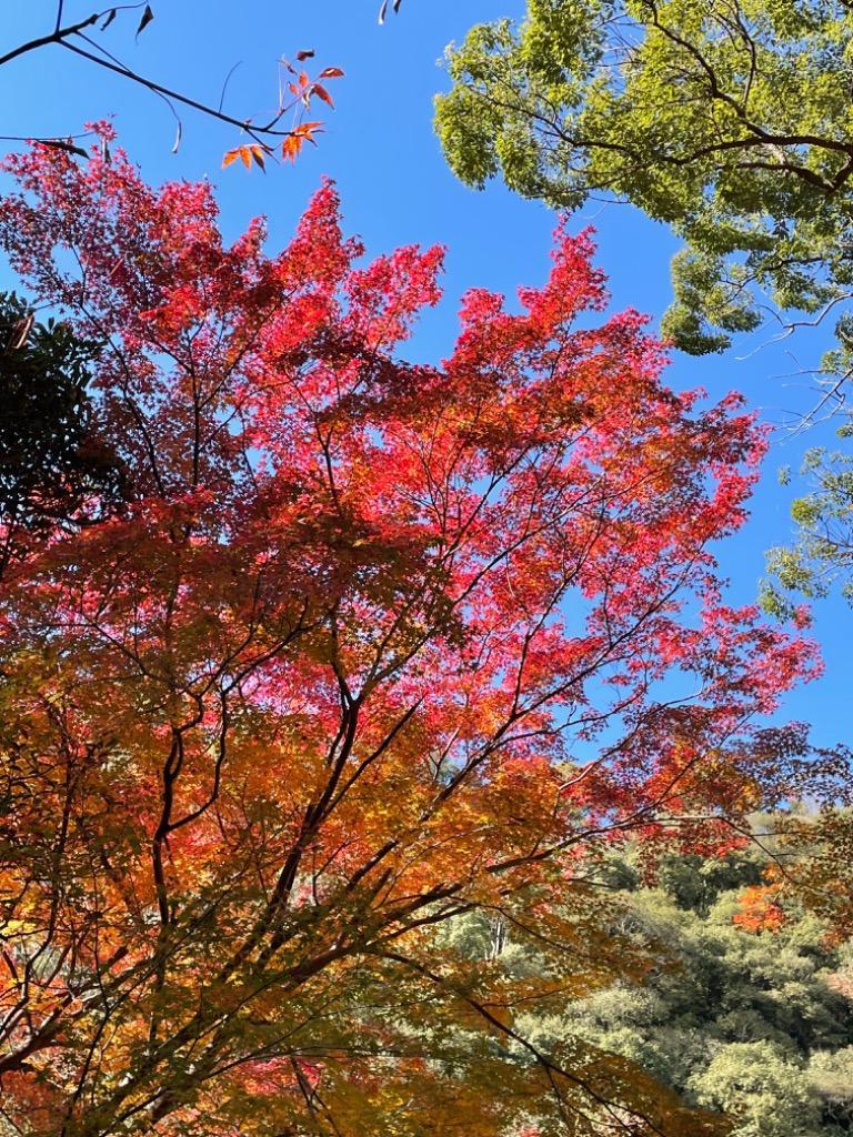 1件目のレビュー画像 | 0